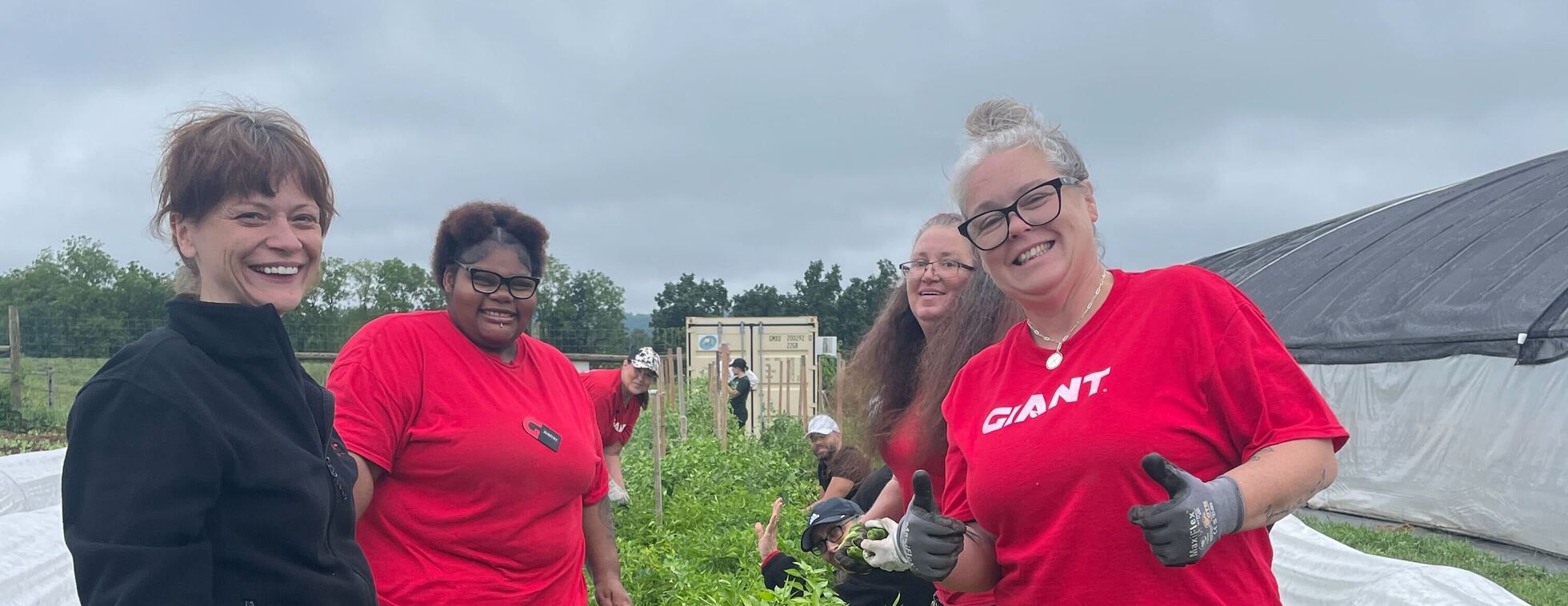 Community Volunteer Day at Lundale Farm!